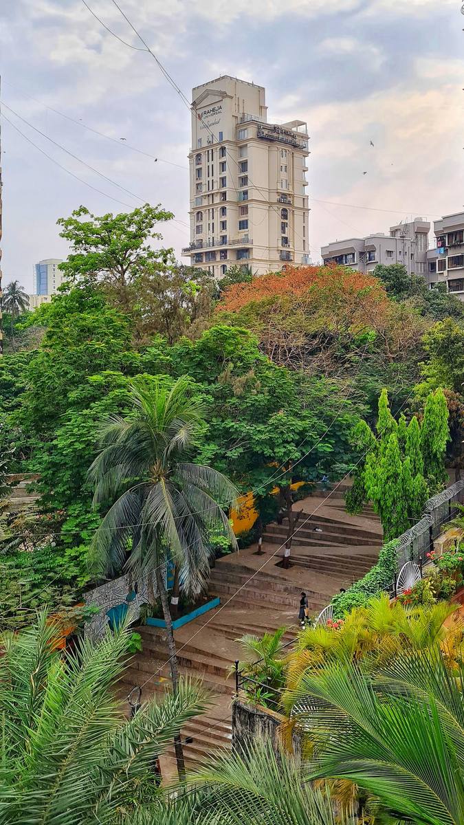 The Steps seen from above, a green corridor of trees between the buildings of Bandra